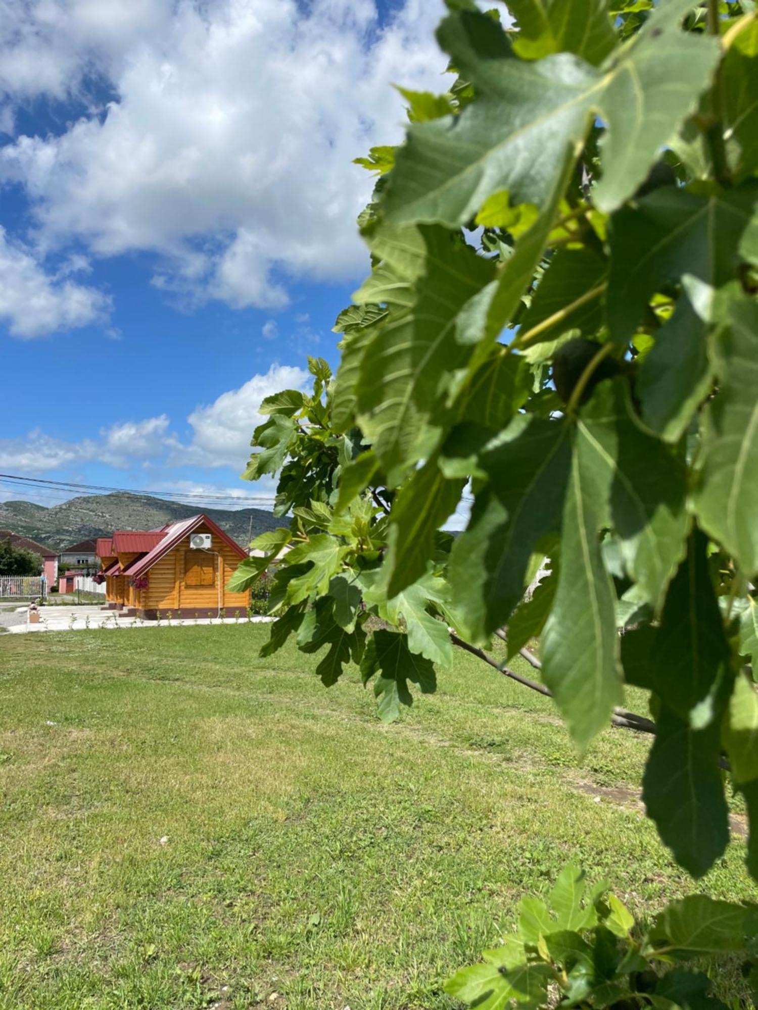 Cozy Bungallows Podgorica Bagian luar foto